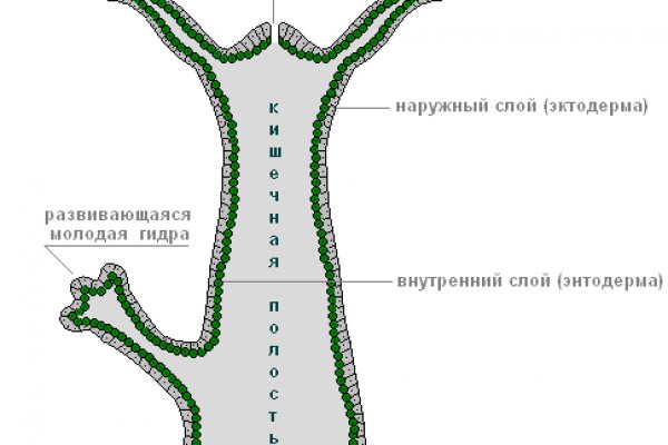 Кто придумал мегу