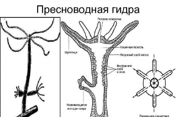 Блэкспрут магазин моментальных