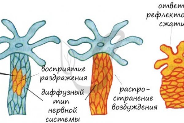 Что будет за перевод денег на мегу