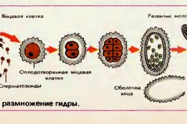 Kraken ссылка мечтаево