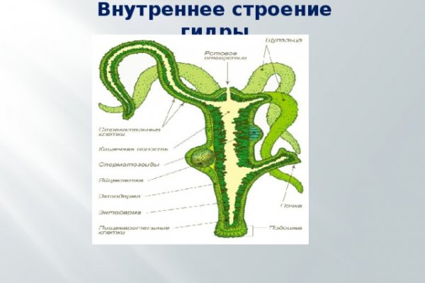 Смотреть картинки сайт мега